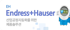 Endress+Hauser